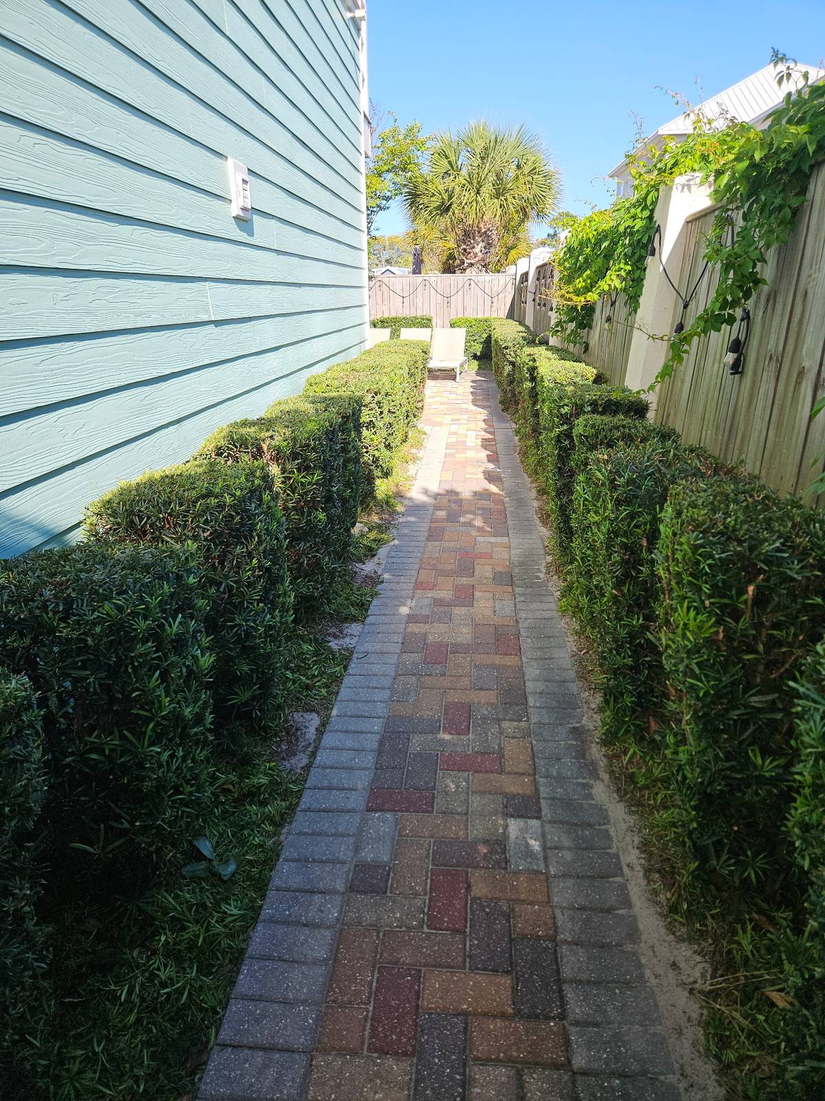 Freshly trimmed hedges lining a paver walkway at a beach house