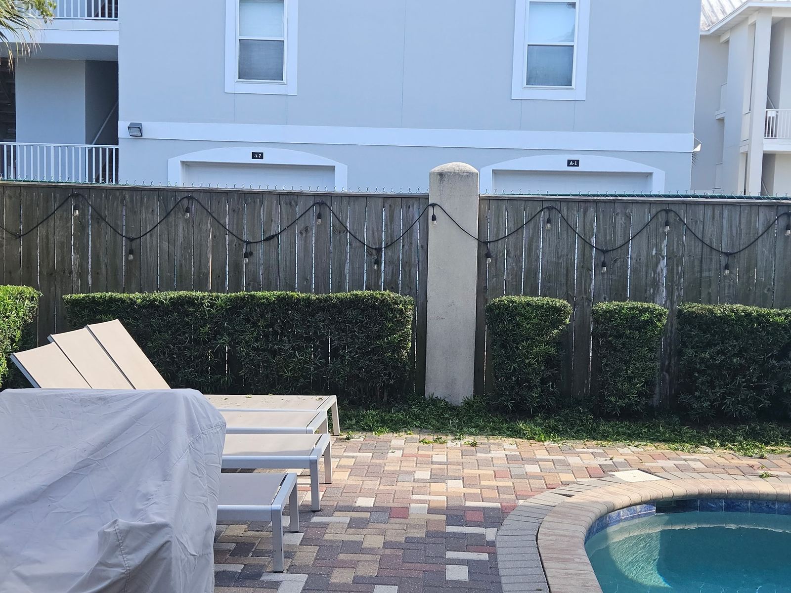 Poolside privacy hedges trimmed level along wood fence
