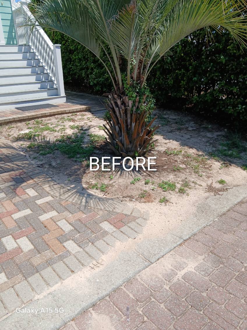 F0B6DB57-FBA5-4539-B851-F7350EEBEE10 F0B6DB57-FBA5-4539-B851-F7350EEBEE10